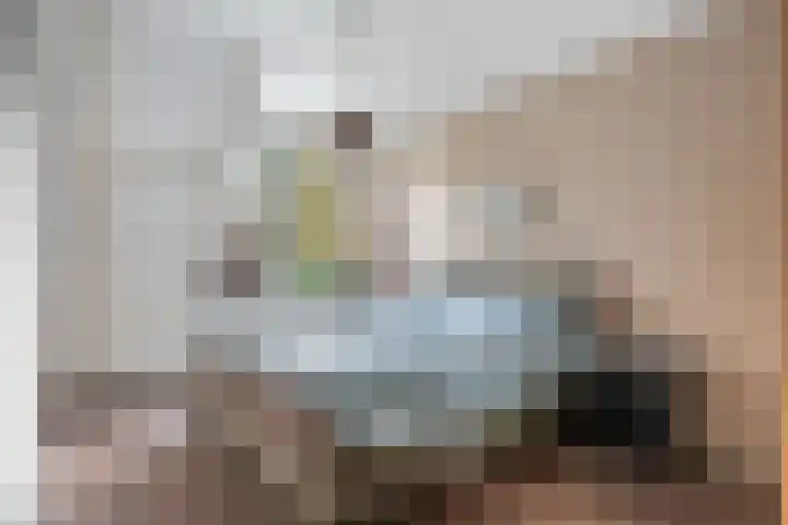 Brouwersweg 8 Veendam thumbnail 13