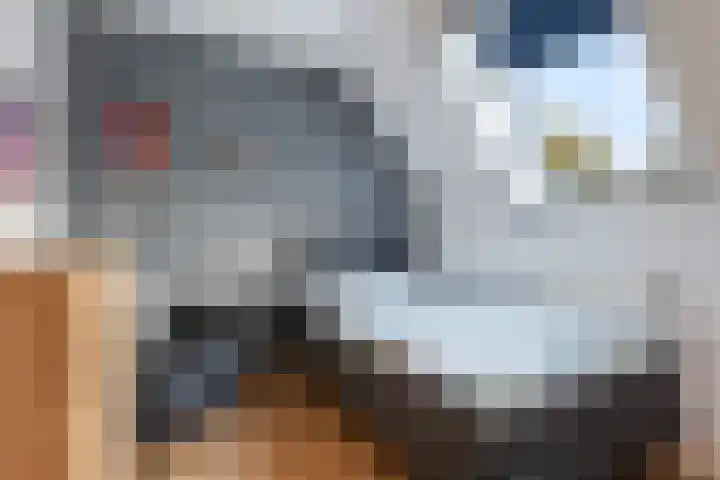 Brouwersweg 8 Veendam thumbnail 15
