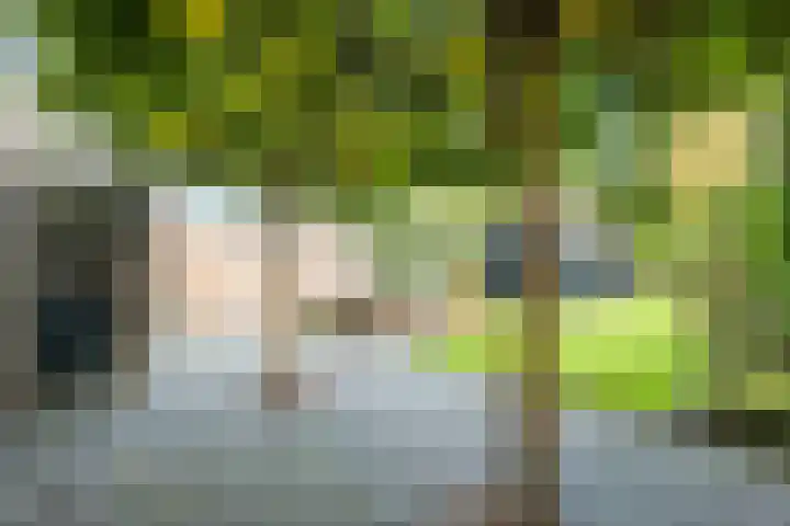 Brouwersweg 8 Veendam thumbnail 20