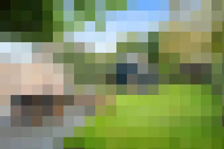 Brouwersweg 8 Veendam thumbnail 21