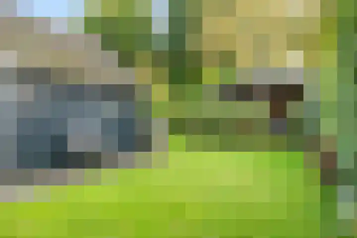 Brouwersweg 8 Veendam thumbnail 24