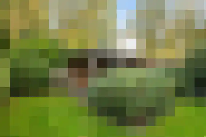 Brouwersweg 8 Veendam thumbnail 25