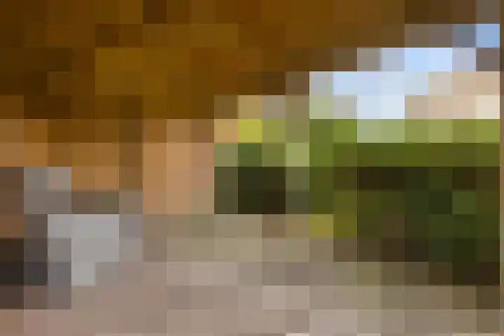 Brouwersweg 8 Veendam thumbnail 27