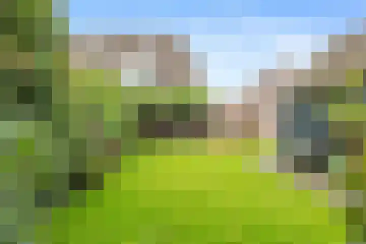 Brouwersweg 8 Veendam thumbnail 28