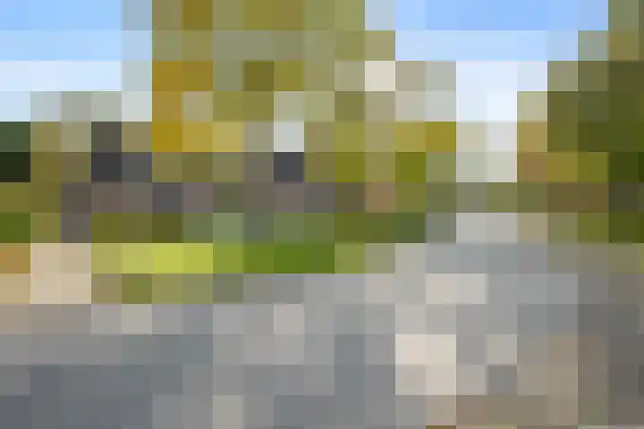Brouwersweg 8 Veendam thumbnail 33
