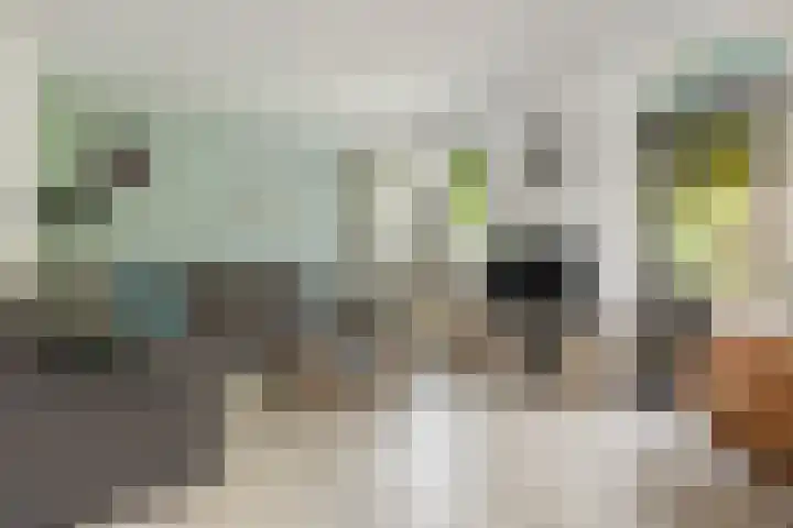 Brouwersweg 8 Veendam thumbnail 7