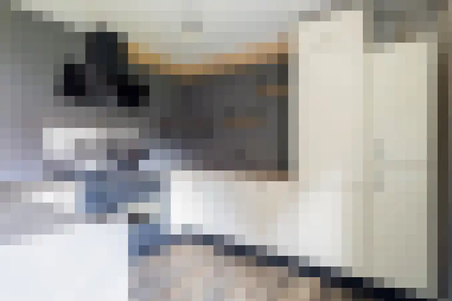 Brouwerswei 4 Eanjum thumbnail 20