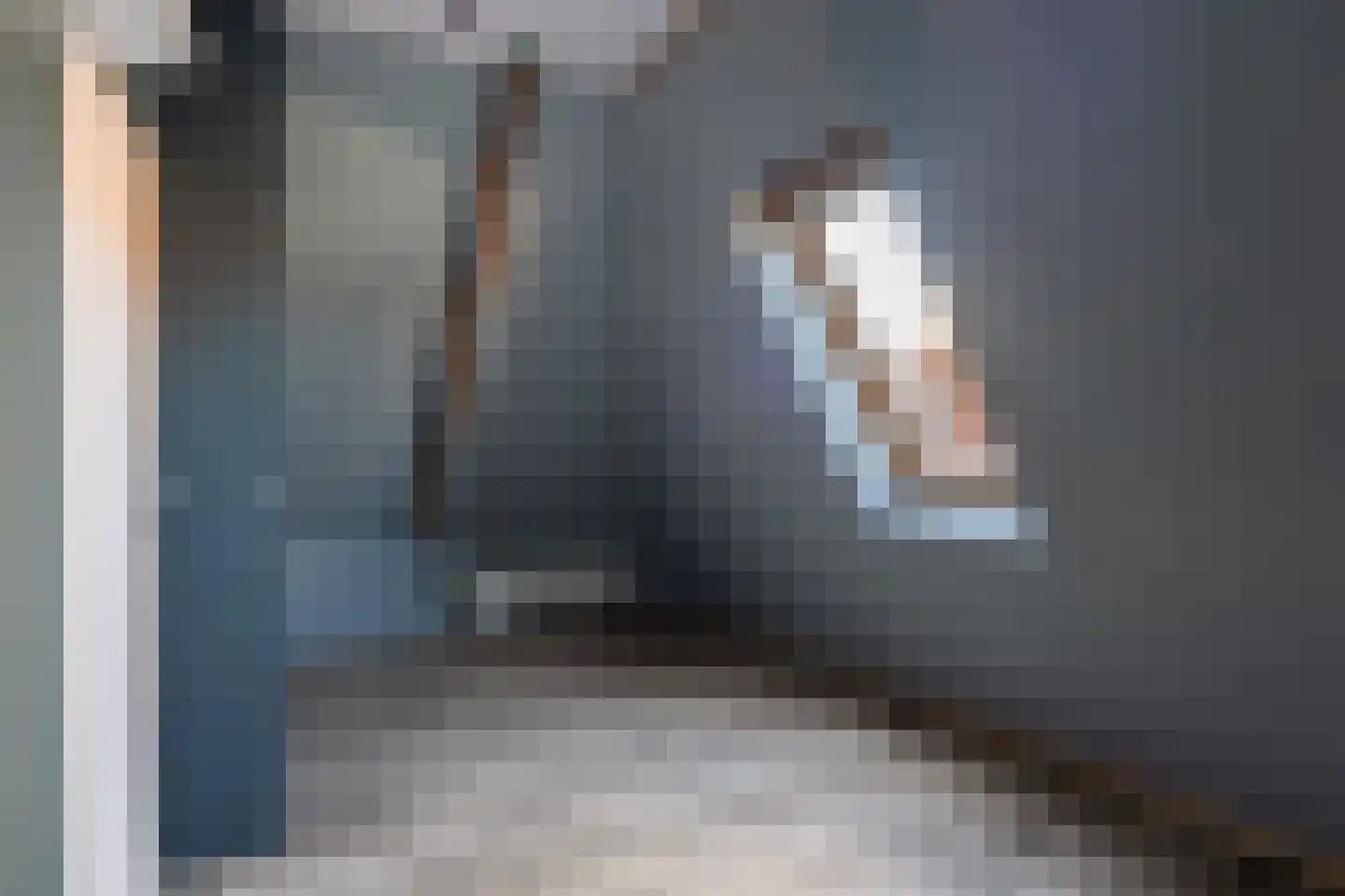 Brouwerswei 4 Eanjum thumbnail 31