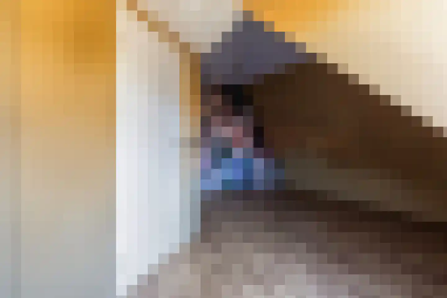 Brouwerswei 4 Eanjum thumbnail 36
