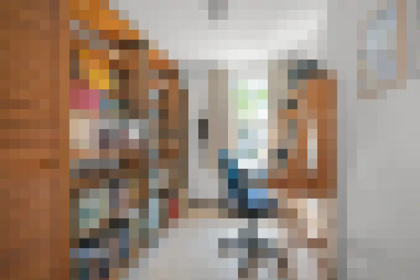 Brouwerszoom 42 Koog aan de Zaan thumbnail 12