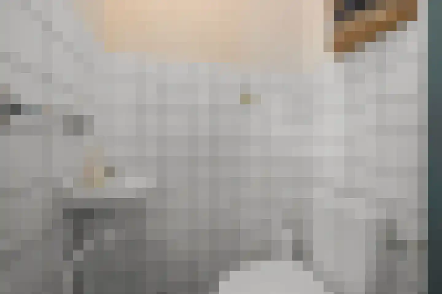 Brouwerszoom 42 Koog aan de Zaan thumbnail 16