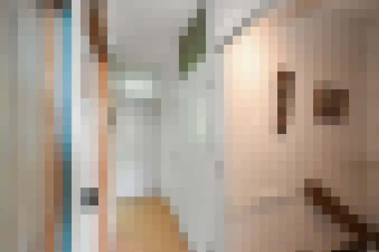 Brouwerszoom 42 Koog aan de Zaan thumbnail 17