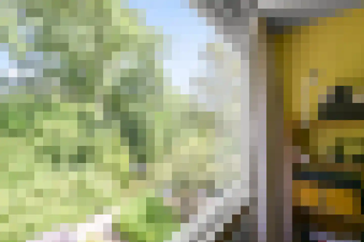 Brouwerszoom 42 Koog aan de Zaan thumbnail 26