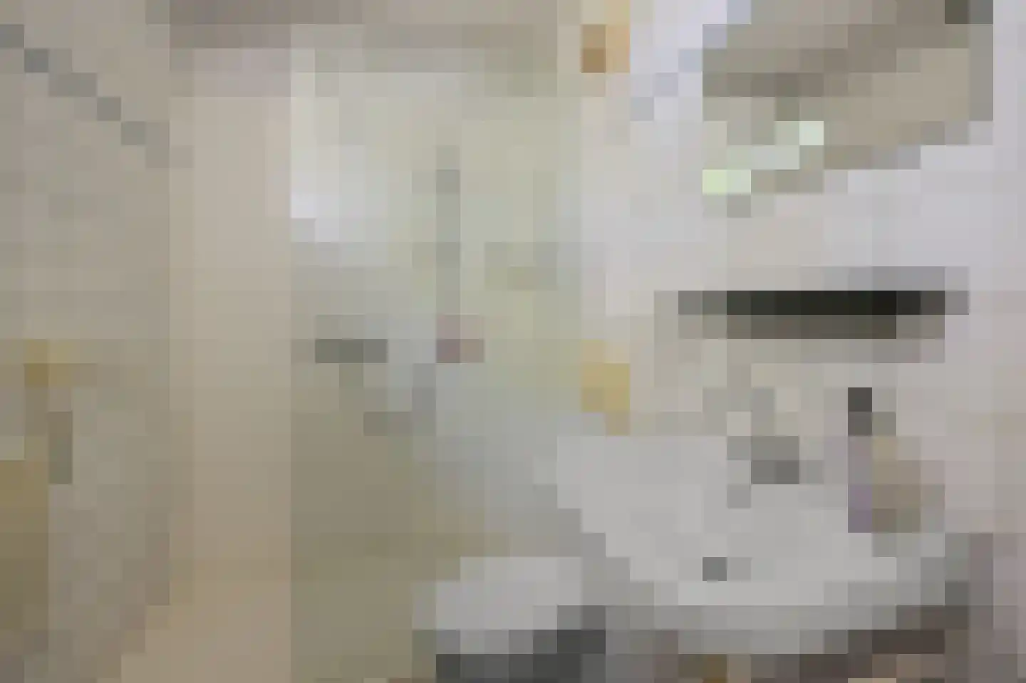 Brouwerszoom 42 Koog aan de Zaan thumbnail 27