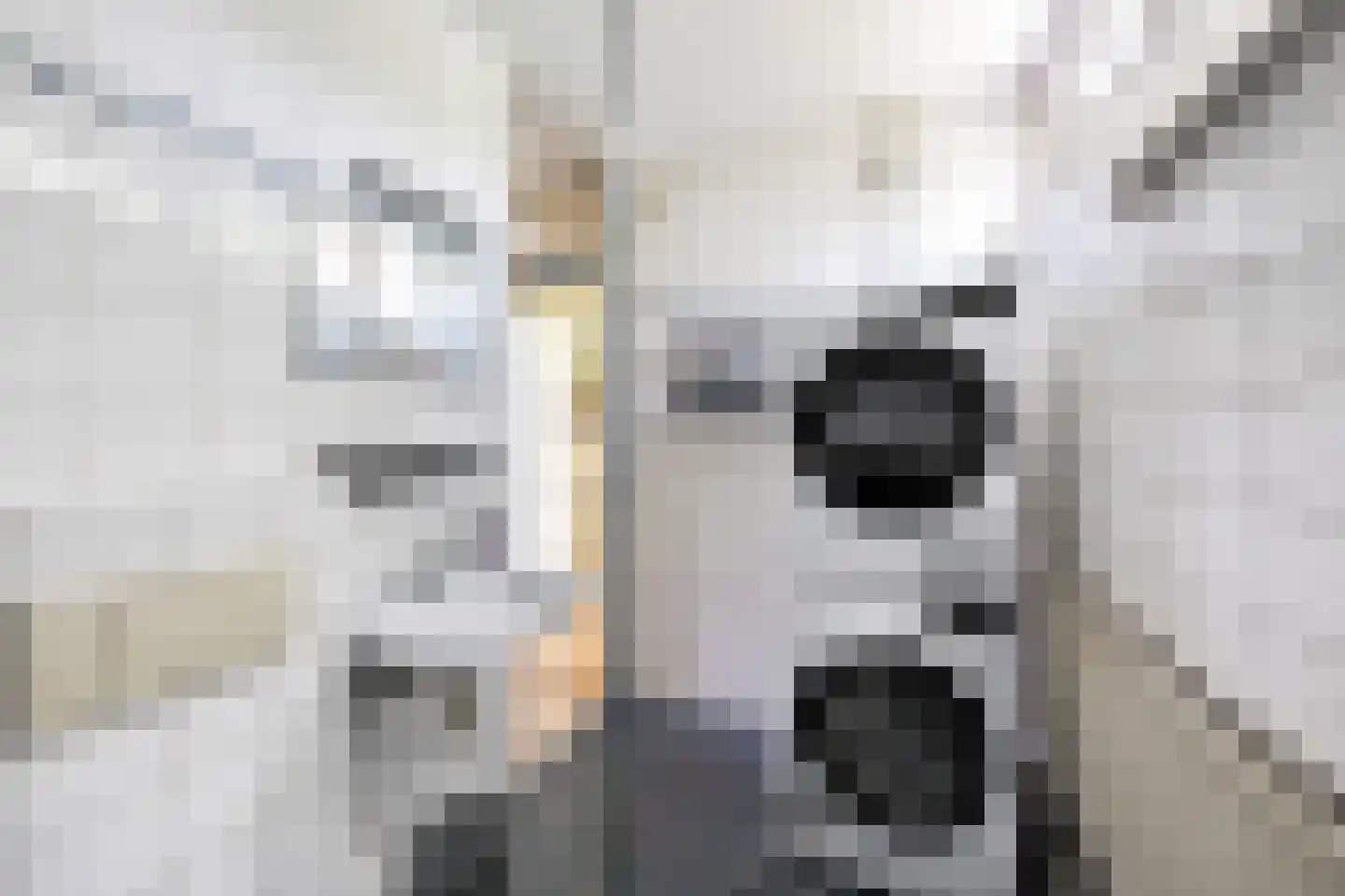 Brouwerszoom 42 Koog aan de Zaan thumbnail 28