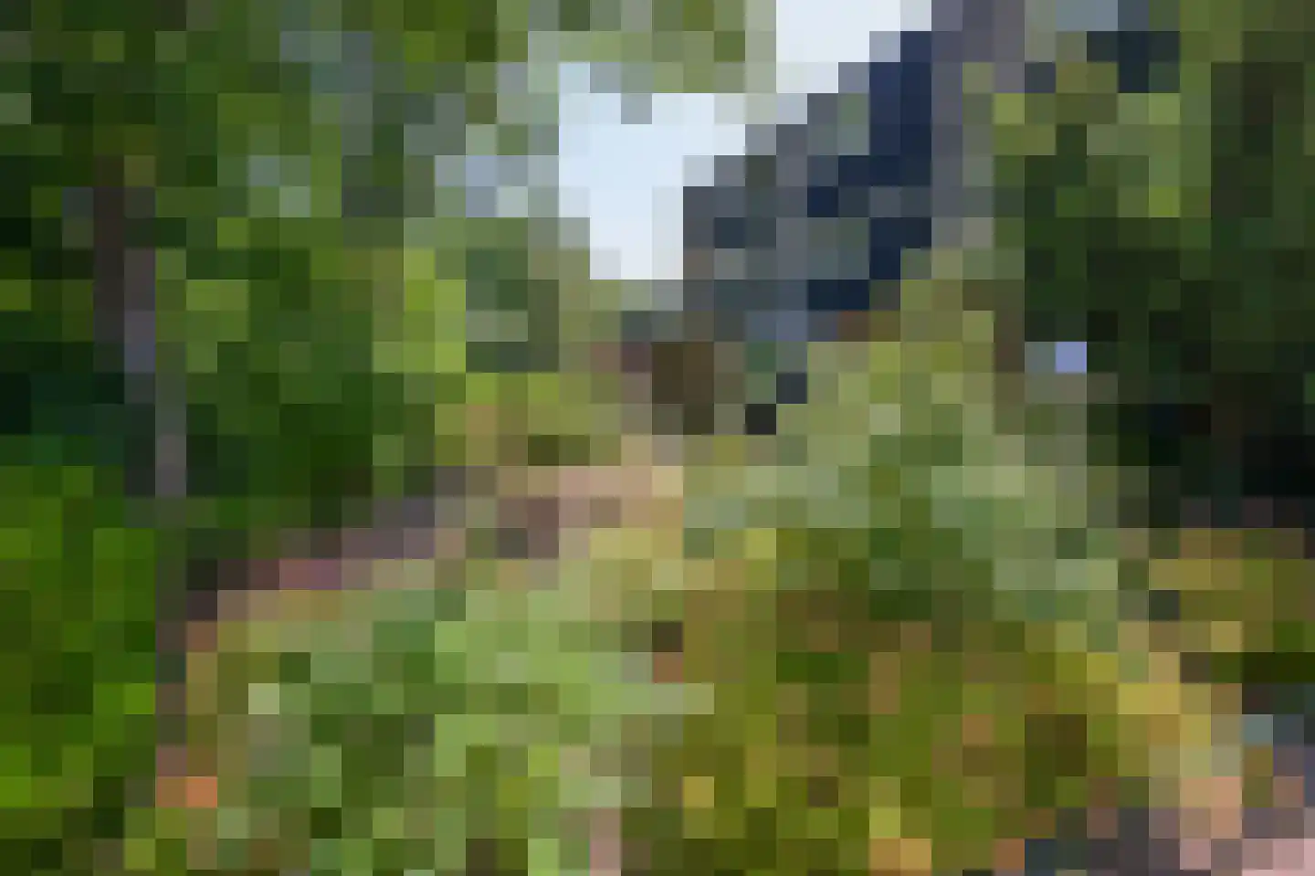 Brouwerszoom 42 Koog aan de Zaan thumbnail 30