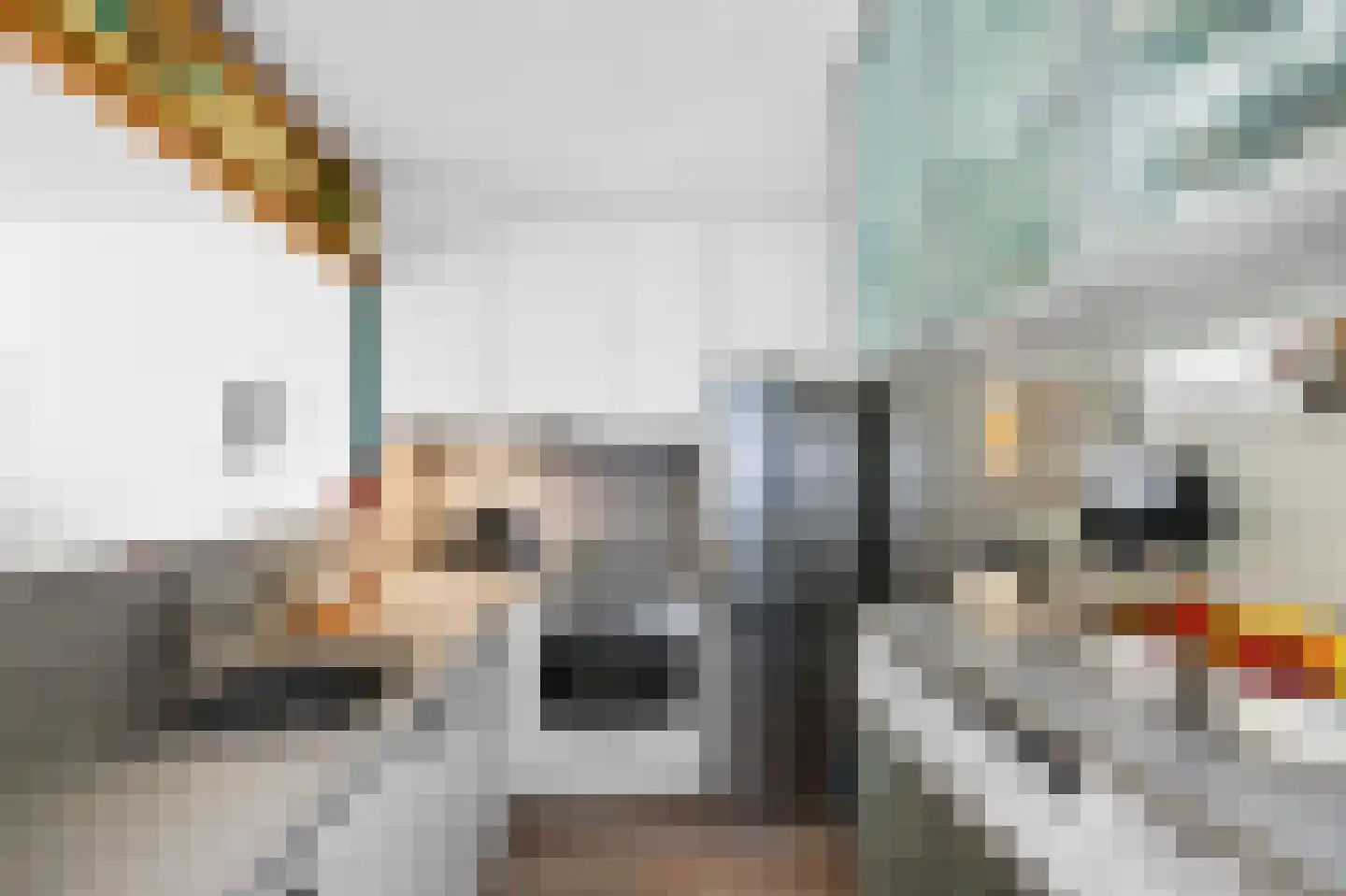 Brouwerszoom 42 Koog aan de Zaan thumbnail 7