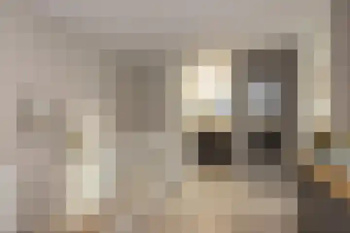 Brouwhuis 1 Groenlo thumbnail 19