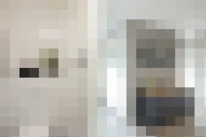 Brouwhuis 1 Groenlo thumbnail 20