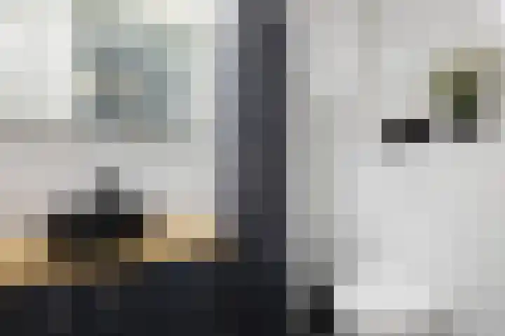 Brouwhuis 1 Groenlo thumbnail 21
