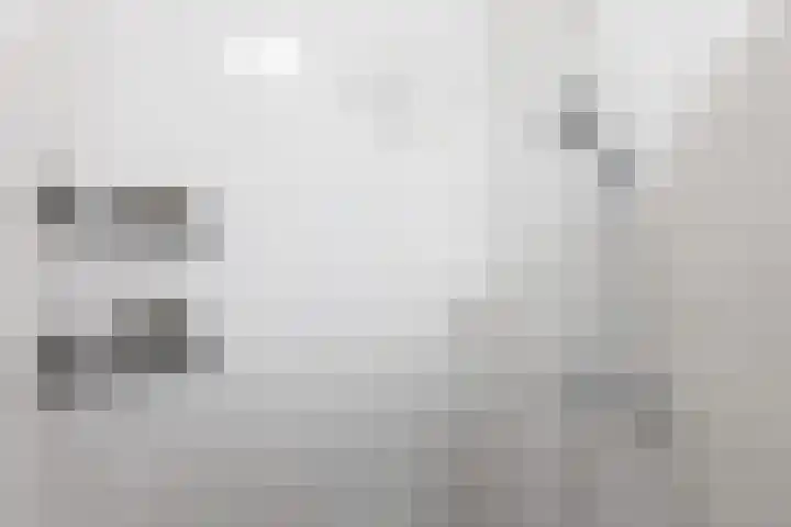 Brouwhuis 1 Groenlo thumbnail 22