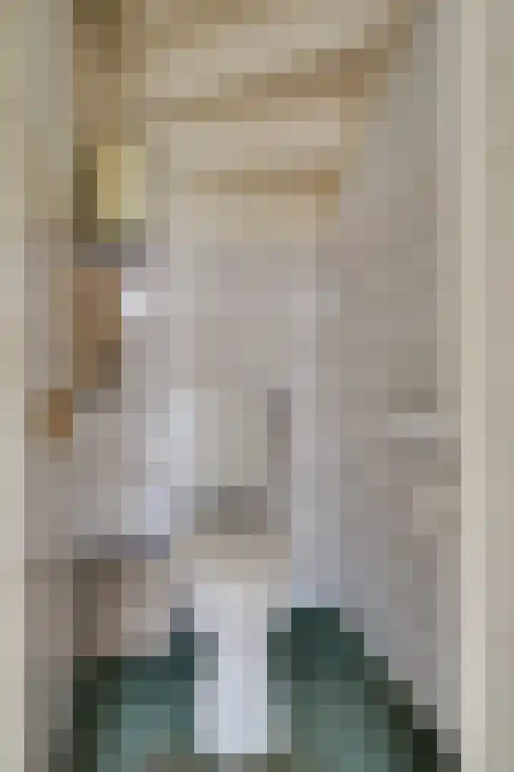 Brouwhuis 4 Blokker thumbnail 16