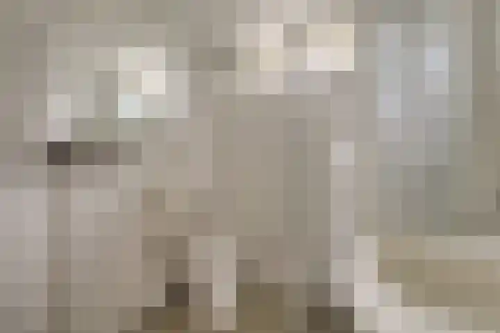 Brouwhuis 4 Blokker thumbnail 28