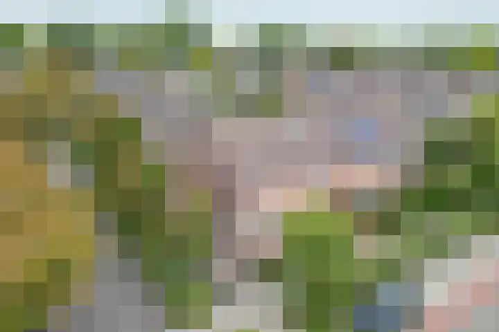 Brouwhuis 4 Blokker thumbnail 36