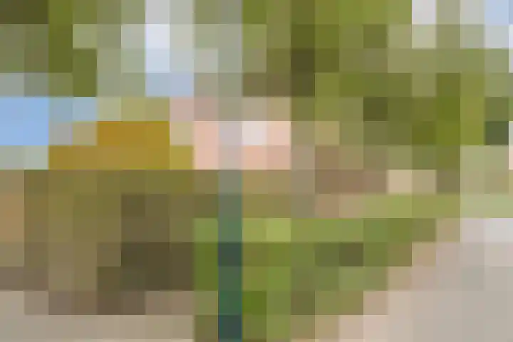 Brouwhuis 4 Blokker thumbnail 38