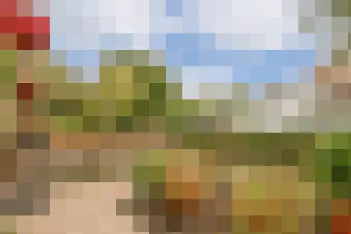 Brouwhuis 4 Blokker thumbnail 40