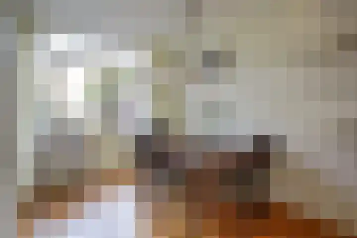 Brouwhuis 58 Blokker thumbnail 10