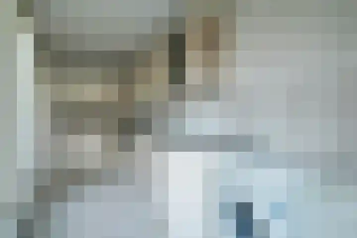 Brouwhuis 58 Blokker thumbnail 13