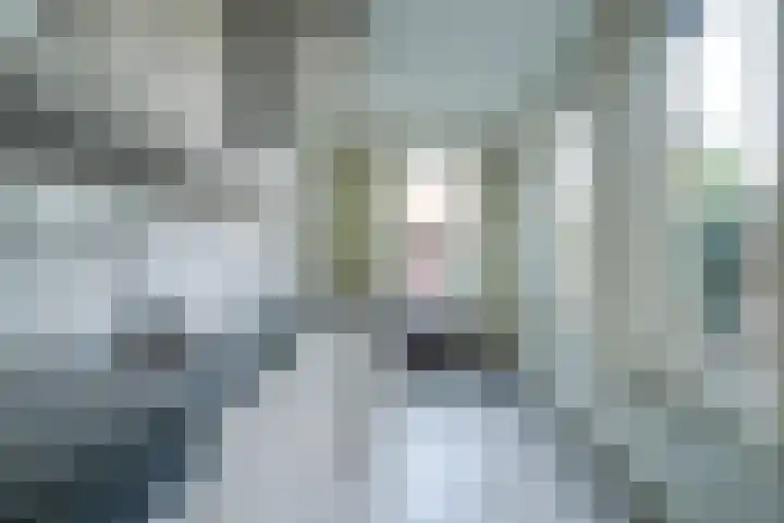 Brouwhuis 58 Blokker thumbnail 15