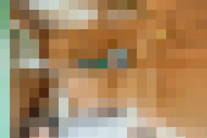 Brouwhuis 58 Blokker thumbnail 22