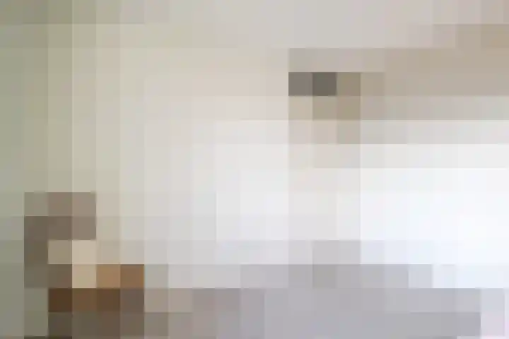 Brouwhuis 58 Blokker thumbnail 26