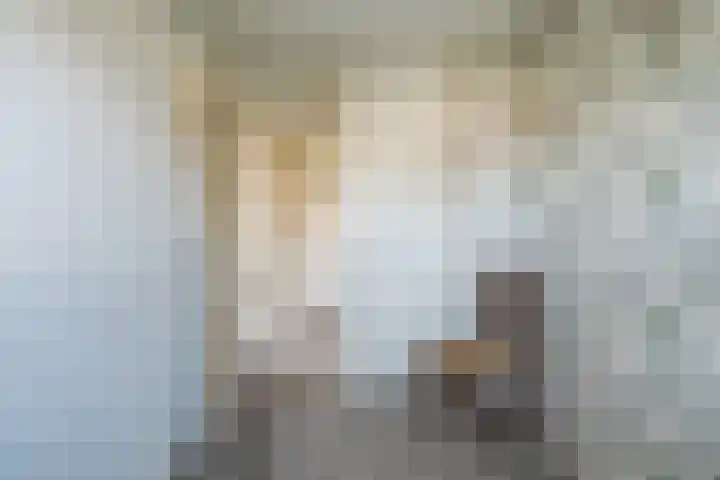 Brouwhuis 58 Blokker thumbnail 31