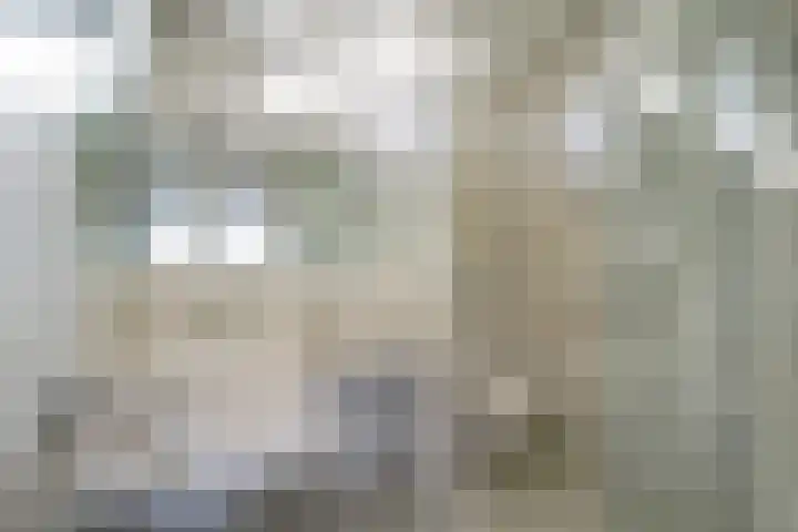 Brouwhuis 58 Blokker thumbnail 32
