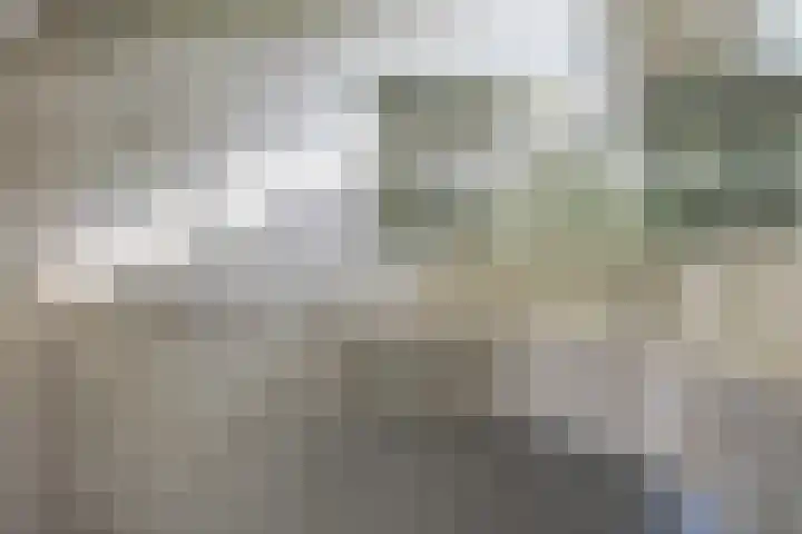Brouwhuis 58 Blokker thumbnail 33