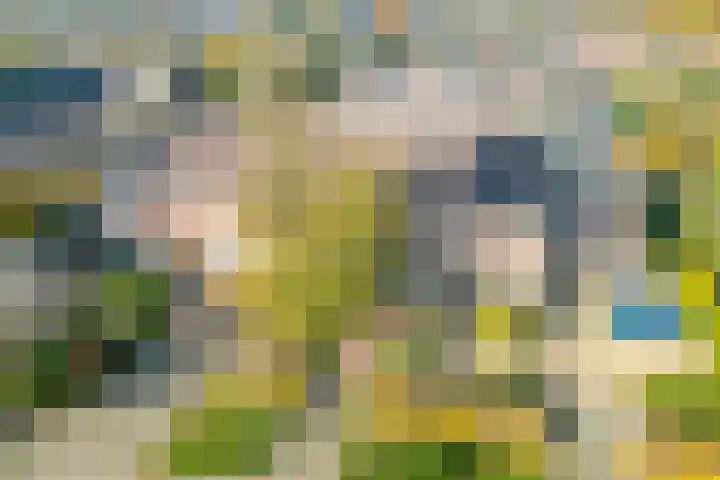 Brouwhuis 58 Blokker thumbnail 41