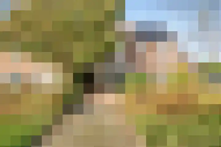 Brouwhuis 58 Blokker thumbnail 42