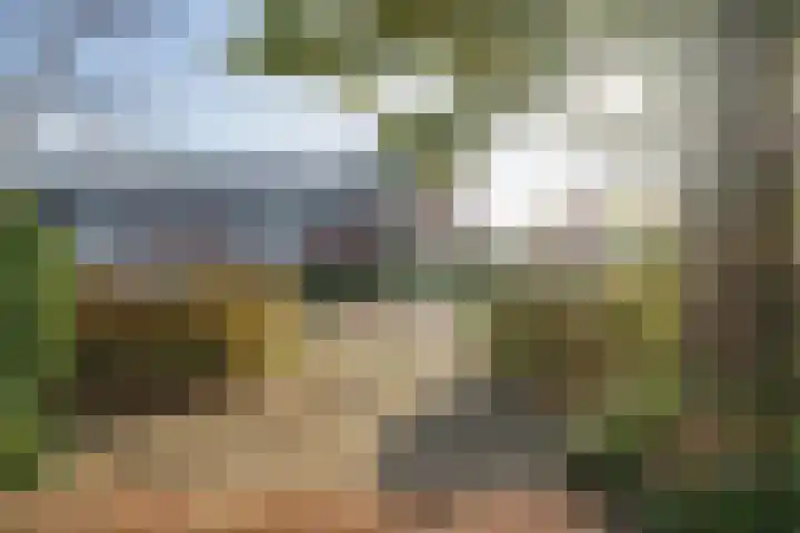 Brouwhuis 58 Blokker thumbnail 43