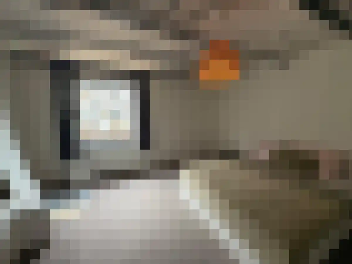 Brouwhuisplein 1 Breda thumbnail 5