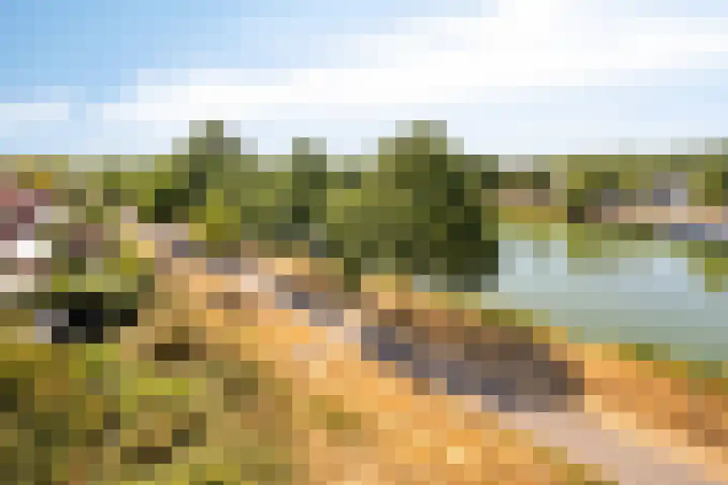 Brouwhuissedijk 55 Helmond thumbnail 23