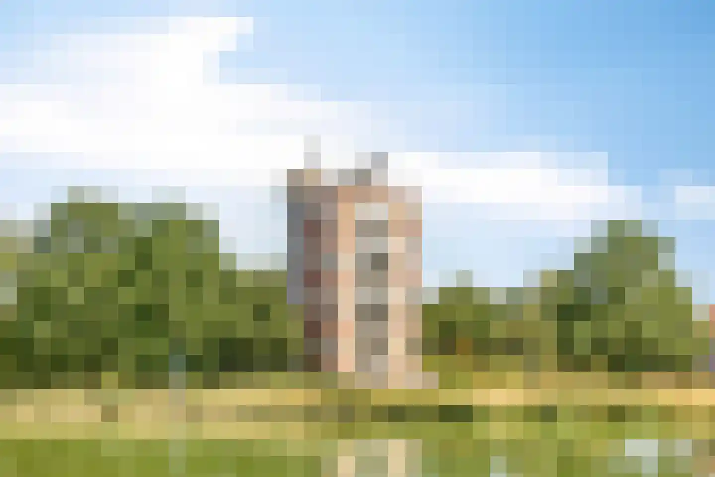 Brouwhuissedijk 55 Helmond thumbnail 34
