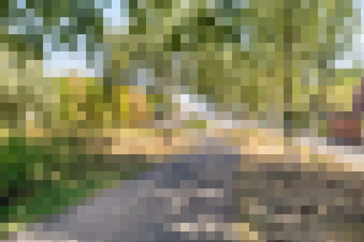 Brouwhuissedijk 55 Helmond thumbnail 38