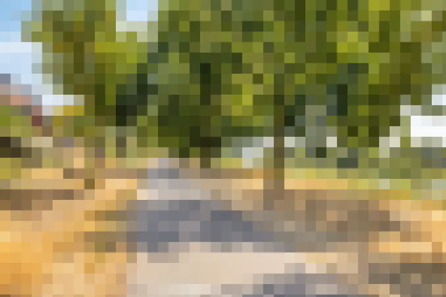Brouwhuissedijk 55 Helmond thumbnail 42