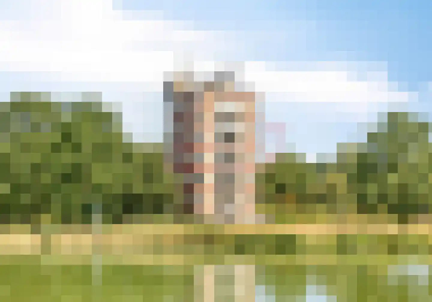 Brouwhuissedijk 55 Helmond thumbnail 7