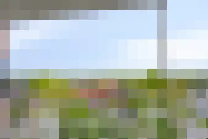 Brouwhuissedijk 57 Helmond thumbnail 17