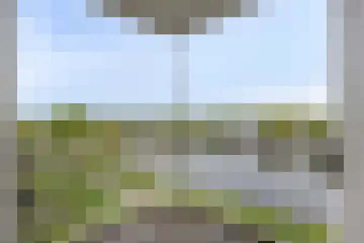 Brouwhuissedijk 57 Helmond thumbnail 6