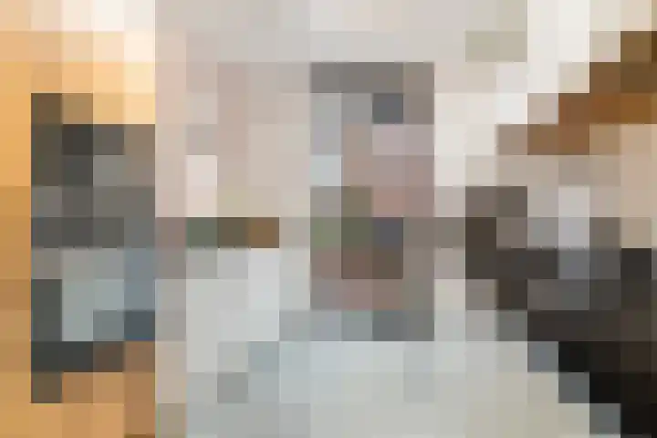 Brouwhuisstraat 11 Rotterdam thumbnail 11